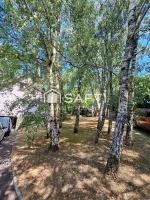 Maison à vendre à GOURFALEUR de 142m² (18)