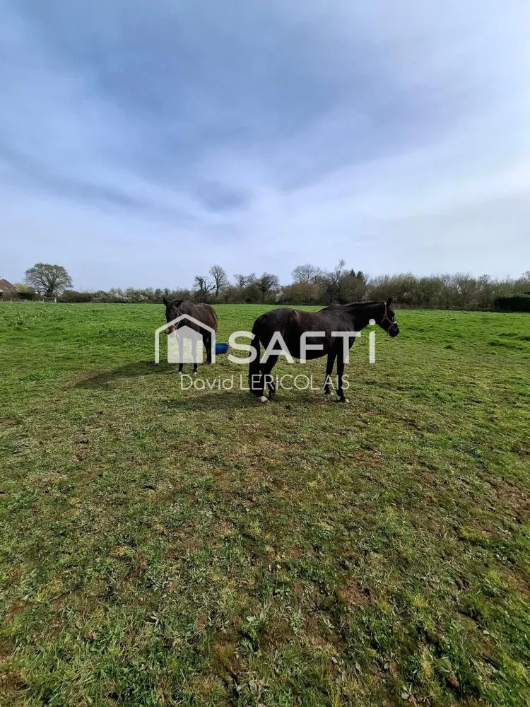 Terrain à vendre à GRAIGNES-MESNIL-ANGOT de 9250m² (4)